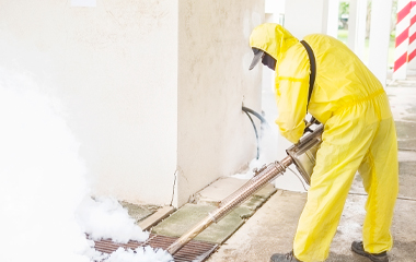 Fumigation
